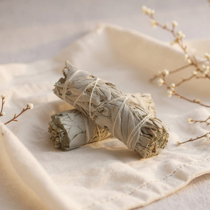 Sauge Blanche à Brûler — Purification & Bien-être